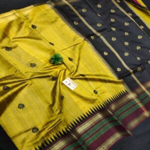 Pure Raw Silk with Temple Border - Image 23