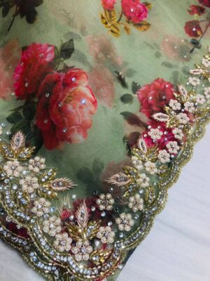 Organza Saree