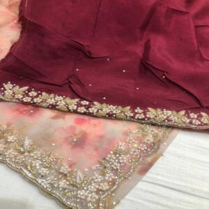 Organza Saree - Image 3