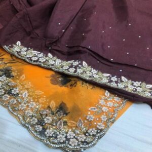 Organza Saree - Image 5