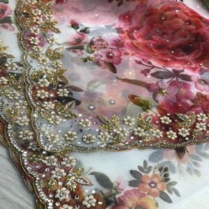 Organza Saree - Image 11
