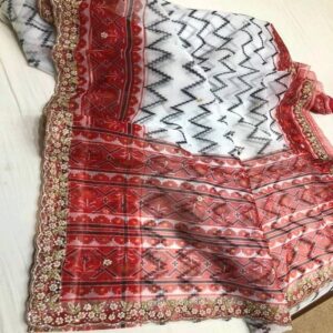 Organza Saree - Image 21