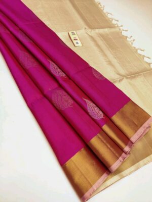 Silk Saree with Tissue Border